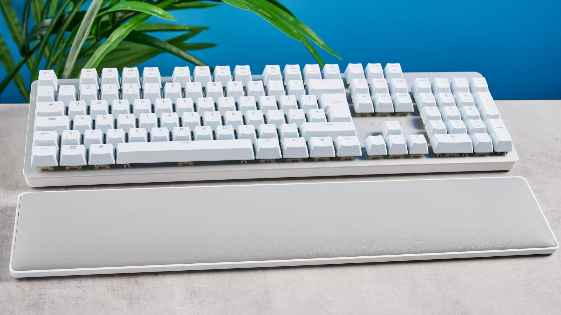 The Razer Pro Type Ultra and its separate cushioned support pictured with a visible gap between them. Image: Nikita Achanta / Future.